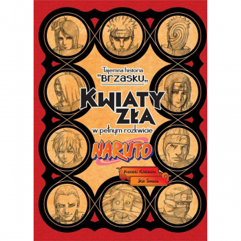 Naruto 06 : Tajemna historia Brzasku LN
