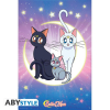 Plakat Sailor Moon - 