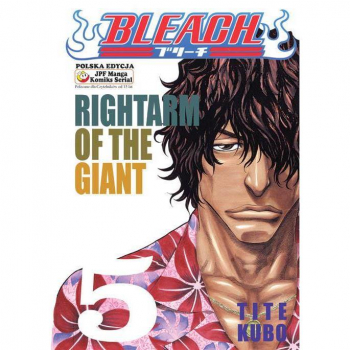 Bleach Tom 5