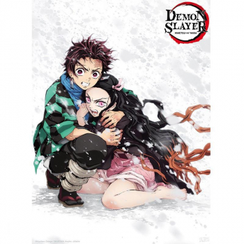 Plakat Demon Slayer - Tanjiro & Nezuko Snow (52x38